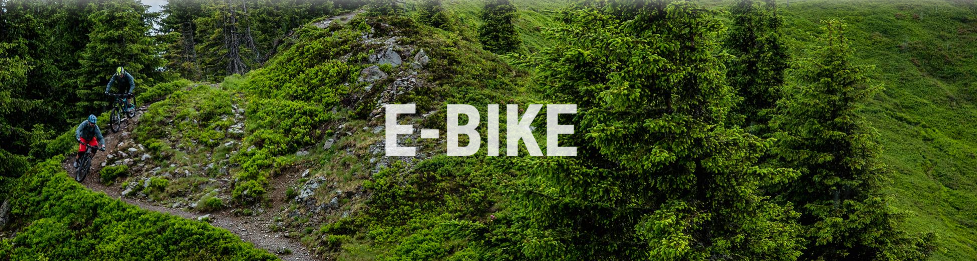 Electrice E-Bike